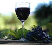 Lion Mill Vineyards - Kalgoorlie Accommodation 0