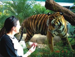 Crocodylus Park - Kalgoorlie Accommodation 1