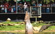 Crocodylus Park - thumb 2
