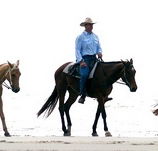 Ride the Beach - Kalgoorlie Accommodation