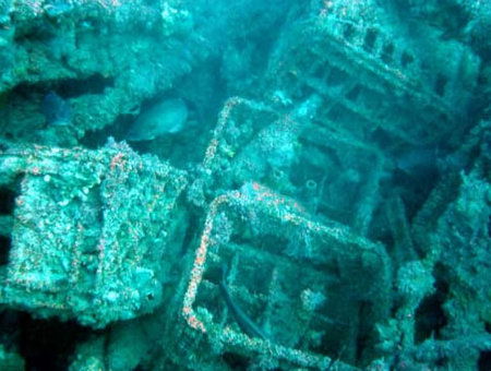 Underwater Sports Diving Centre - Kalgoorlie Accommodation 0