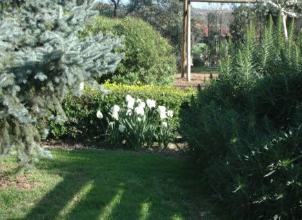 The Old Cheese Factory - Kalgoorlie Accommodation 2