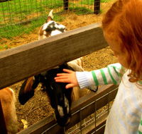 Collingwood Children's Farm - Kalgoorlie Accommodation