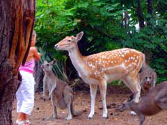 Birdland Animal Park - Kalgoorlie Accommodation 4