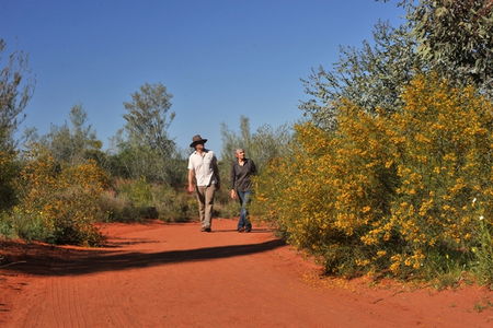Alice Springs Desert Park - Kalgoorlie Accommodation 3