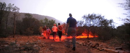 Alice Springs Desert Park - Kalgoorlie Accommodation 4