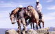 High Country Horses - thumb 3