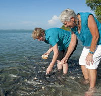 Aquascene Fish Feeding Sanctuary - Kalgoorlie Accommodation