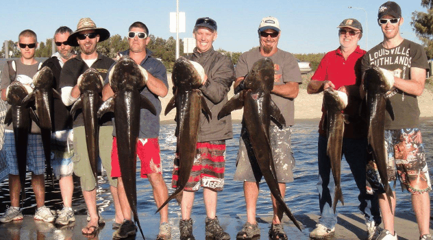 BKs Gold Coast Fishing Charters - Kalgoorlie Accommodation 1
