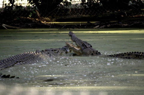 Billabong Sanctuary - Kalgoorlie Accommodation 3