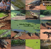 The Malcolm Douglas Crocodile Park - Kalgoorlie Accommodation