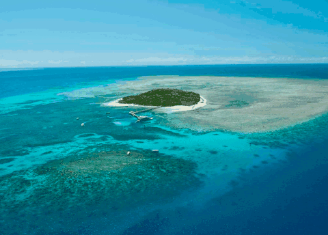 Big Cat Green Island Reef Cruises - Kalgoorlie Accommodation 1
