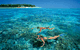 Big Cat Green Island Reef Cruises - thumb 4
