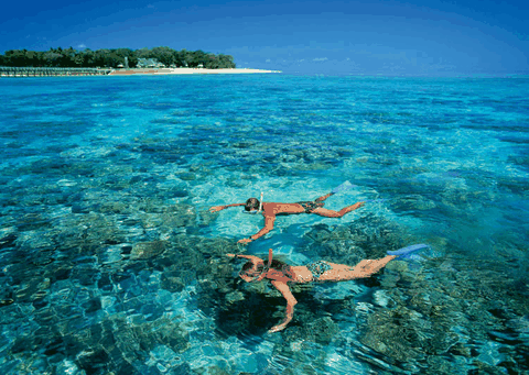 Big Cat Green Island Reef Cruises - Kalgoorlie Accommodation 4