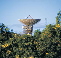 Big Dish - Kalgoorlie Accommodation