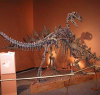 Denmark Dinosaur World - Kalgoorlie Accommodation