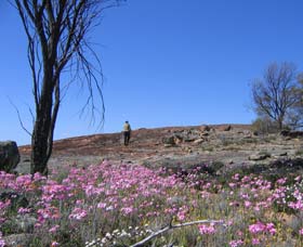 Kwelkan WA Kalgoorlie Accommodation