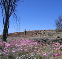 Talgomine Reserve - Kalgoorlie Accommodation