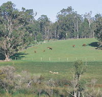Scenic Drives - Bunbury Collie Donnybrook - Kalgoorlie Accommodation