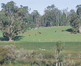 Scenic Drives - Bunbury Collie Donnybrook - Kalgoorlie Accommodation 0