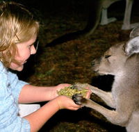 Discovery Bay's Walk on the Wild Side - Kalgoorlie Accommodation