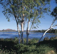 Celebrity Tree Park - Kalgoorlie Accommodation