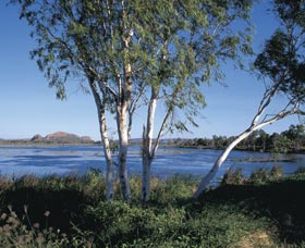Celebrity Tree Park - Kalgoorlie Accommodation 0