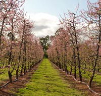 Raeburn Orchards - Kalgoorlie Accommodation