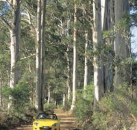 Mount Shadforth Scenic Drive - Kalgoorlie Accommodation