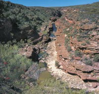 Ross Graham Lookout