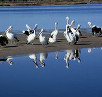 Peel Region Canoe Trails - Kalgoorlie Accommodation