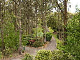 Mount Lofty Botanic Garden - Kalgoorlie Accommodation 0