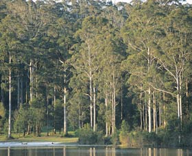 Big Brook Dam - Kalgoorlie Accommodation 0