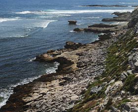 Cape Vlamingh - Kalgoorlie Accommodation 0