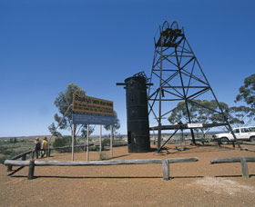 Bayleys Reward Fly Flat - Kalgoorlie Accommodation 0