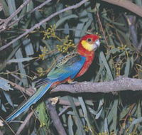 King River - Kalgoorlie Accommodation