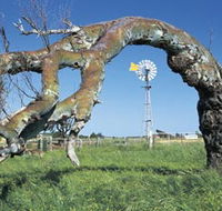 Greenough Leaning Trees - Kalgoorlie Accommodation