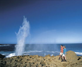 The Blowholes Carnarvon - Kalgoorlie Accommodation 0