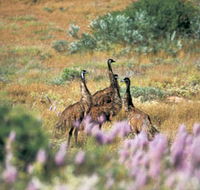 Jurabi Coastal Reserve - Kalgoorlie Accommodation