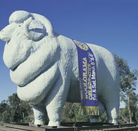 Giant Ram Tourist Park - Kalgoorlie Accommodation
