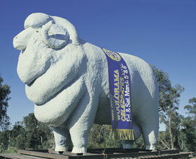 Giant Ram Tourist Park - Kalgoorlie Accommodation 0