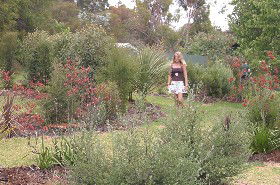 The Mythic Mazes - Kalgoorlie Accommodation 0