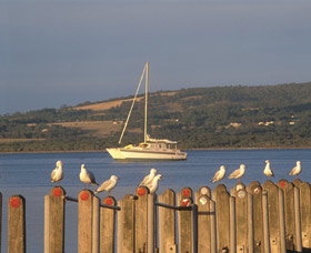 Oyster Harbour - Kalgoorlie Accommodation 0