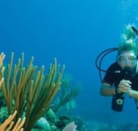 Coastal Water Dive - Kalgoorlie Accommodation