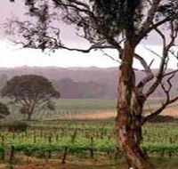 Yangarra Estate Vineyard - Kalgoorlie Accommodation