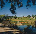 Mount Hurtle Winery home of Geoff Merrill Wines - Kalgoorlie Accommodation
