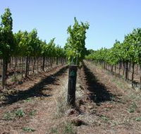 Temple Bruer Winery - Kalgoorlie Accommodation