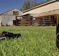 Wilkadene Woolshed Brewery - Kalgoorlie Accommodation