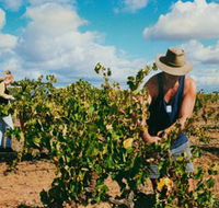 Torbreck Vintners - Kalgoorlie Accommodation