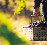 Burge Family Winemakers - Kalgoorlie Accommodation